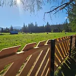 Vakantiehuis Drewniany Szafran Witów