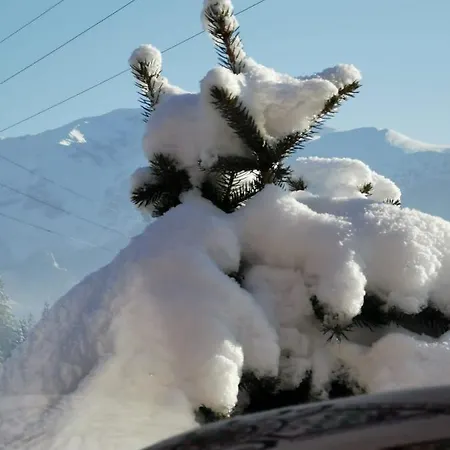 Drewniany Szafran Tatil Evi Witów