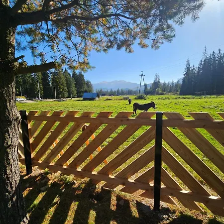 Drewniany Szafran * Витув