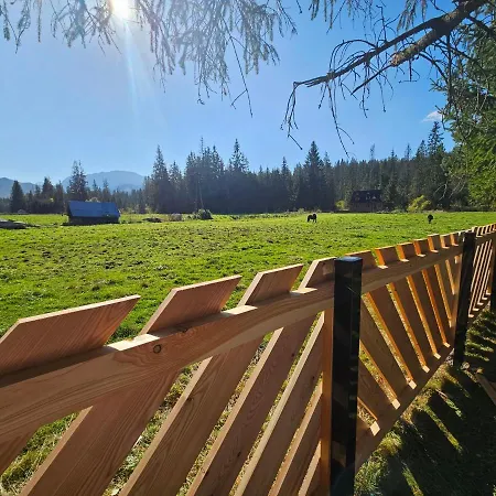 Tatil Evi Drewniany Szafran Witów