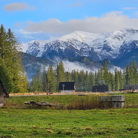 Drewniany Szafran * Witów